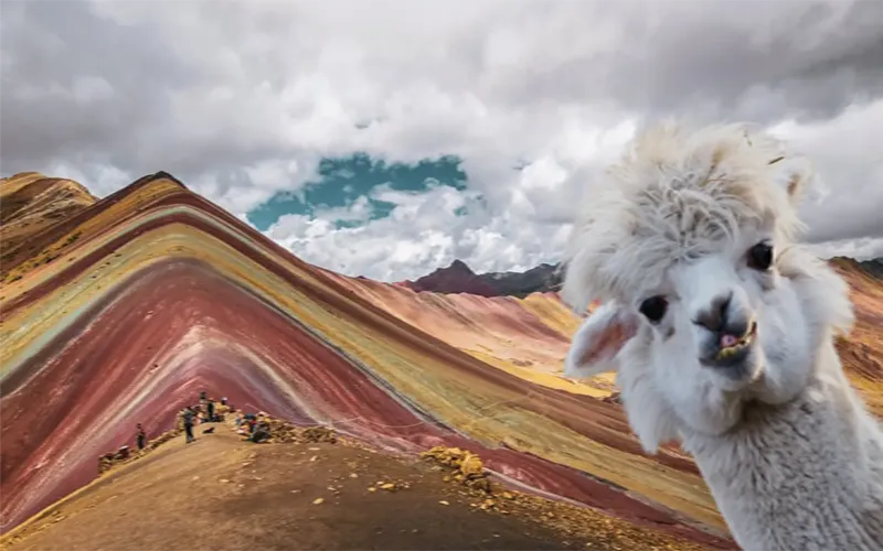 ATVs on Rainbow Mountain