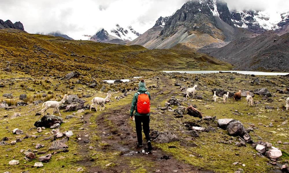 7 Lagunas Ausangate Tour / Full Day