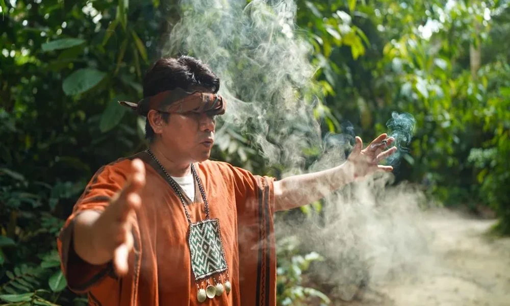 Sanación : Ceremonia de Ayahuasca en Tambopata |2 D/ 1N