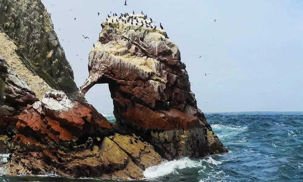 Tour Islas Ballestas y Huacachina desde Lima