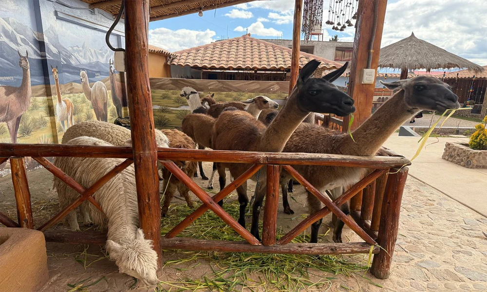 City Tour Arequipa en Mirabus
