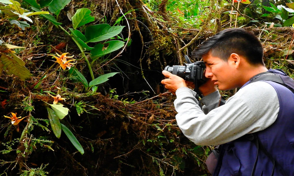 Tour Manu Selva Profunda 6D | Desde Cusco
