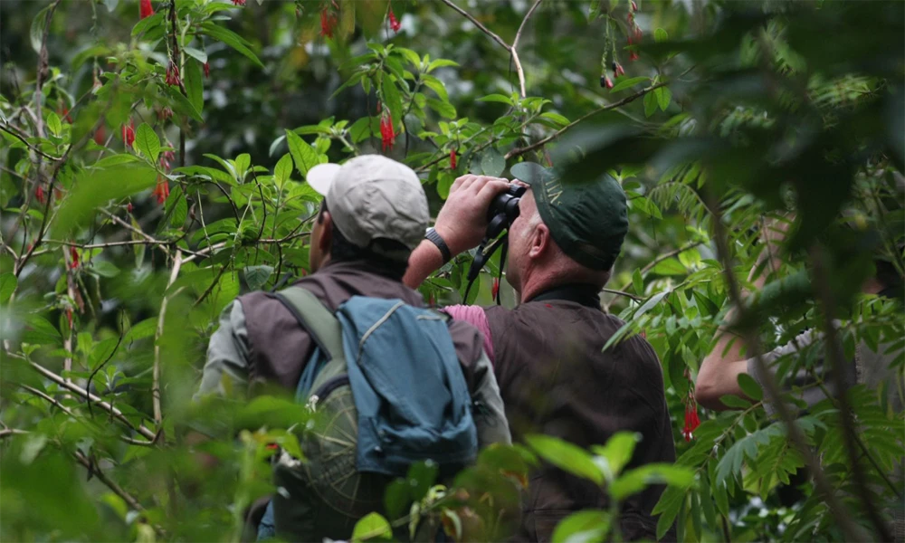 Lago Sandoval: Trekking y Aventura Amazónica