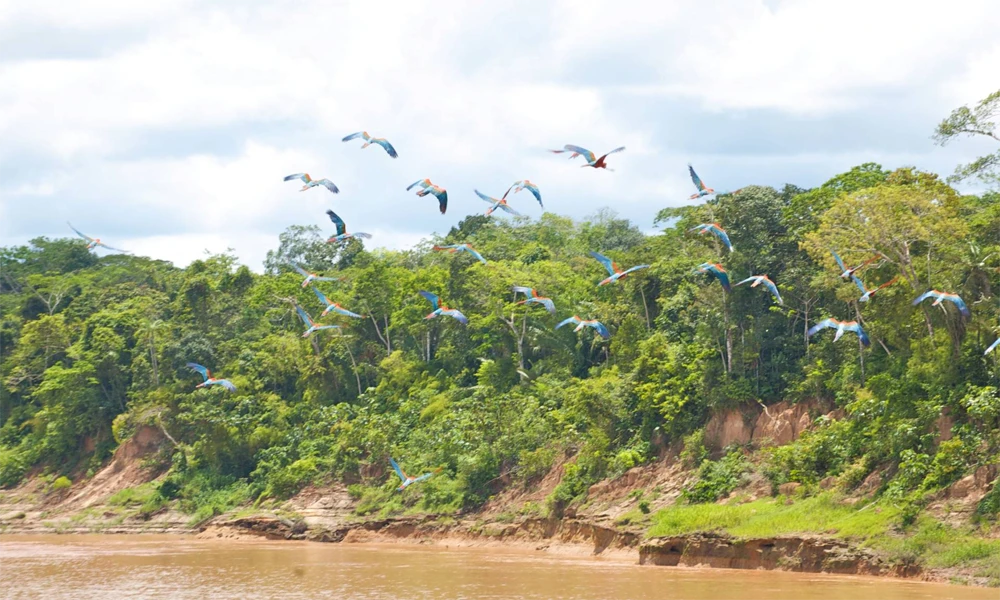 Chuncho Macaw Clay Clay Tour 5D/4N