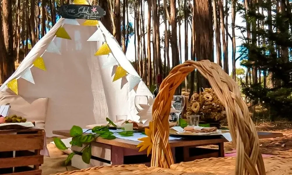 Tour Picnic Natural y Taller de Pintado de Toritos | Tradición y Naturaleza Andina