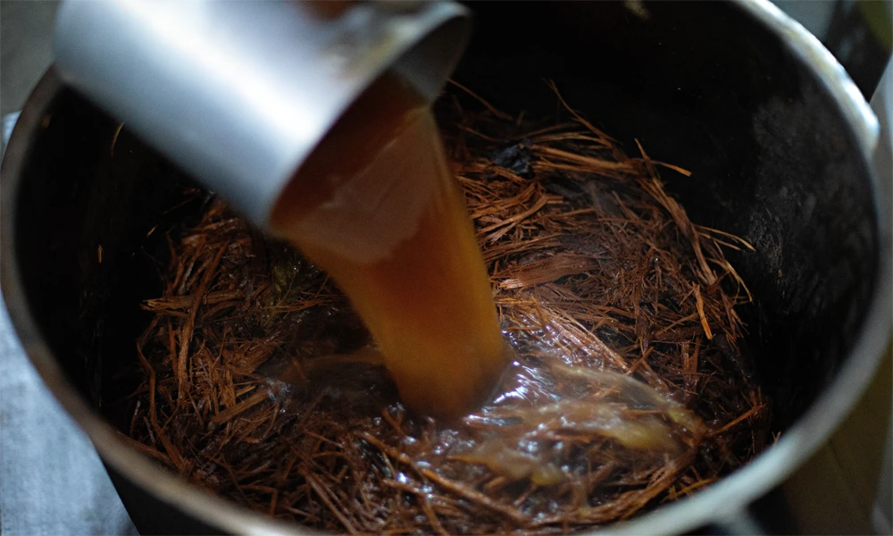 Tour Ceremonia de Ayahuasca en Cusco | 1 Día de Sanación Espiritual