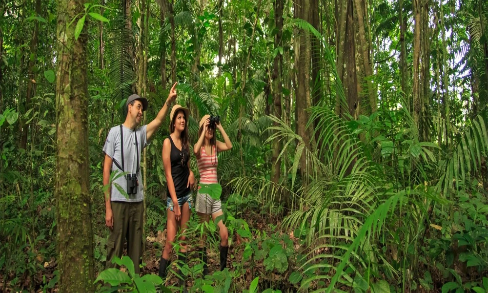 Sandoval Lake: Trekking and Amazonian Adventure